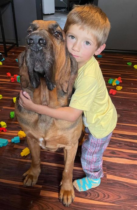 Child with a Bloodhound