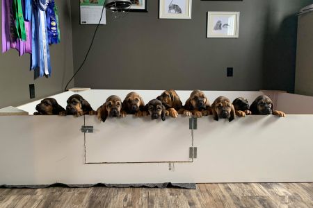 group-shot-5 weeks.jpg